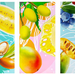 US Botanic Gardens, Close up of Three Panels