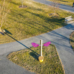 Park Heights Pathways 