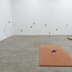 Grope, 2020. silicone, metal hardware, carpet dimensions variable 