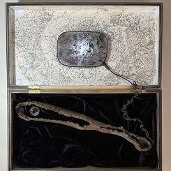 Shaman's Healing Kit: Trauma-Insight