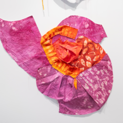 finding harmony in contradictions