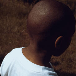 Boys in the Yard (V)