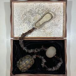 Shaman's Healing Kit: Fear- Curiosity