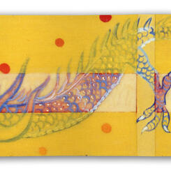 Asian caucasoid and television anchor woman 