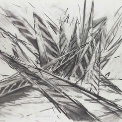 Fabric of Contamination