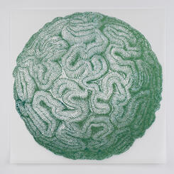 Celestial Body-ody-ody series, Brain Coral Halo Blue, 2023
