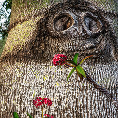 Doug's Oily Interior