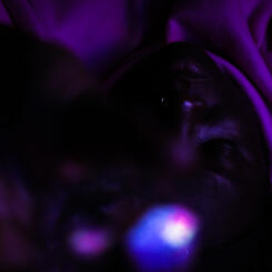 Light, Reoriented II