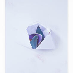 I'm Interested and I'm Going, 2018