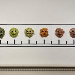 What Brings You In Today? (I)