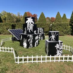  Uncontainable Garden