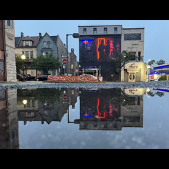 AURORA (with reflection)