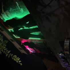 Aurora (night detail)