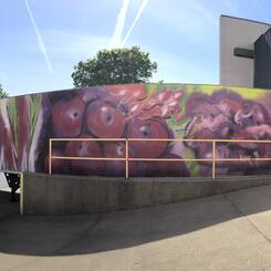 PG County Food Access Trucks