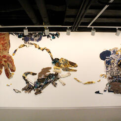 Magical Thinking  view of entire installation