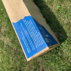 Edgecombe Park Revitalization