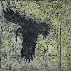 Nesting Crow (1).jpeg