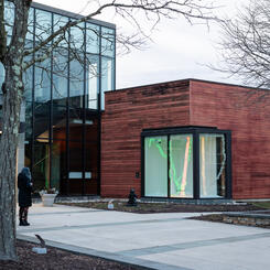 To See the Forest for the Trees 