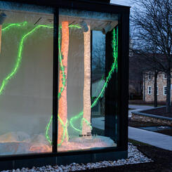 To See the Forest for the Trees 