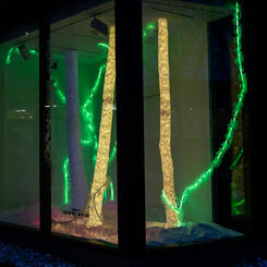 To See the Forest for the Trees 