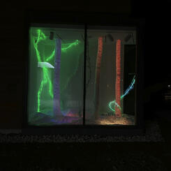 To See the Forest for the Trees 