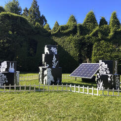  Uncontainable Garden