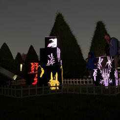  Uncontainable Garden