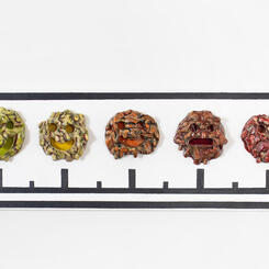 What Brings You In Today II