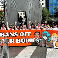 Bans Off Our Bodies (Banner)
