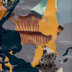 Shells + Shells Collage Series