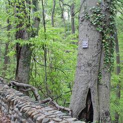 Window-screen 2, 2021