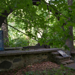 A Table Walks Into a Bar at Wild Flower (Baltimore, MD)