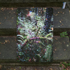   We Are All Stool Makers, 2016 - 2017