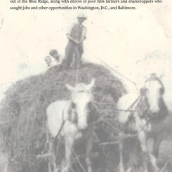 The author's great-uncle and cousins with horse-drawn hay wagon, circa 1946