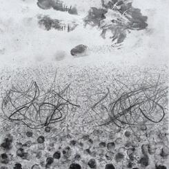 Concert  14x11  graphite and charcoal on paper  2015.jpg