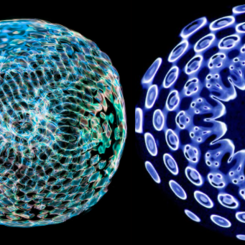 Biocymatic Frequency III (Marine Bioacoustics): Vymatics composed & recorded by Shodekeh at the Maryland Institute College of Art Sound Art program, visualized by Erica Hansen for Voyages I at the National Aquarium & the TU Planetarium, 2022 & 2023.