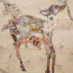 Fawn, Roadkill 