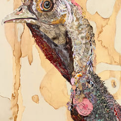 Turkey Lurkey 