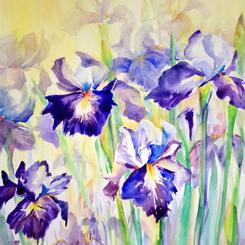 Irises