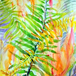 Understory 