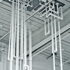 Mito-conduit Extrusion Event I (Detail)