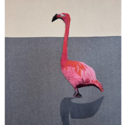 Abandoned American Flamingo 