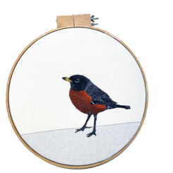 Abandoned American Robin 