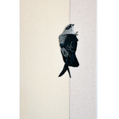 Abandoned Chimney Swift, 2026 