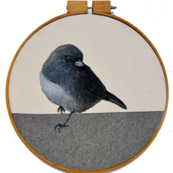 Abandoned Dark-Eyed Junco, 2026