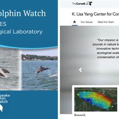 Biocymatic Frequency II (Ecological Bioacoustics): Shodekeh's narration / science communication interviews with the Cornell K. Lisa Yang Center for Conservation Bioacoustics & Dolphin Watch @ UMD for Voyages: Chapter 1 @ The National Aquarium, 2022.