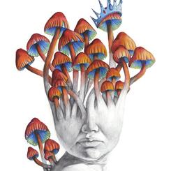 Mushroom Medusa