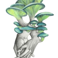 Love & Decay