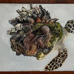 Barnacled Turtle