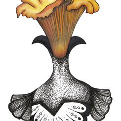 Ms. Chanterelle